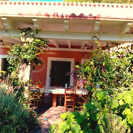 La Fattoria Delle Tartarughe Villa San Gregorio  Ngoại thất bức ảnh