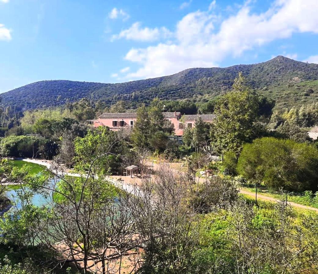 La Fattoria Delle Tartarughe Villa San Gregorio  Ngoại thất bức ảnh