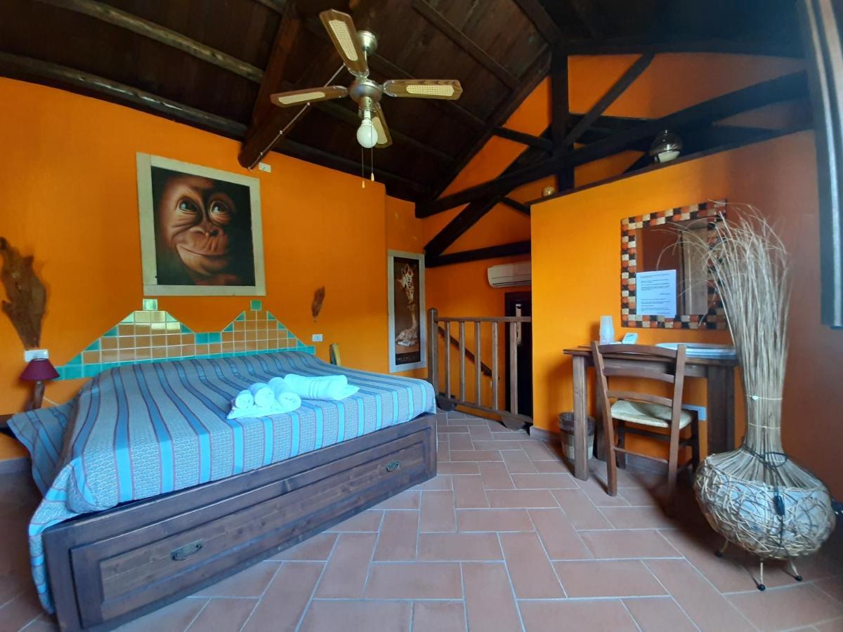 La Fattoria Delle Tartarughe Villa San Gregorio  Ngoại thất bức ảnh