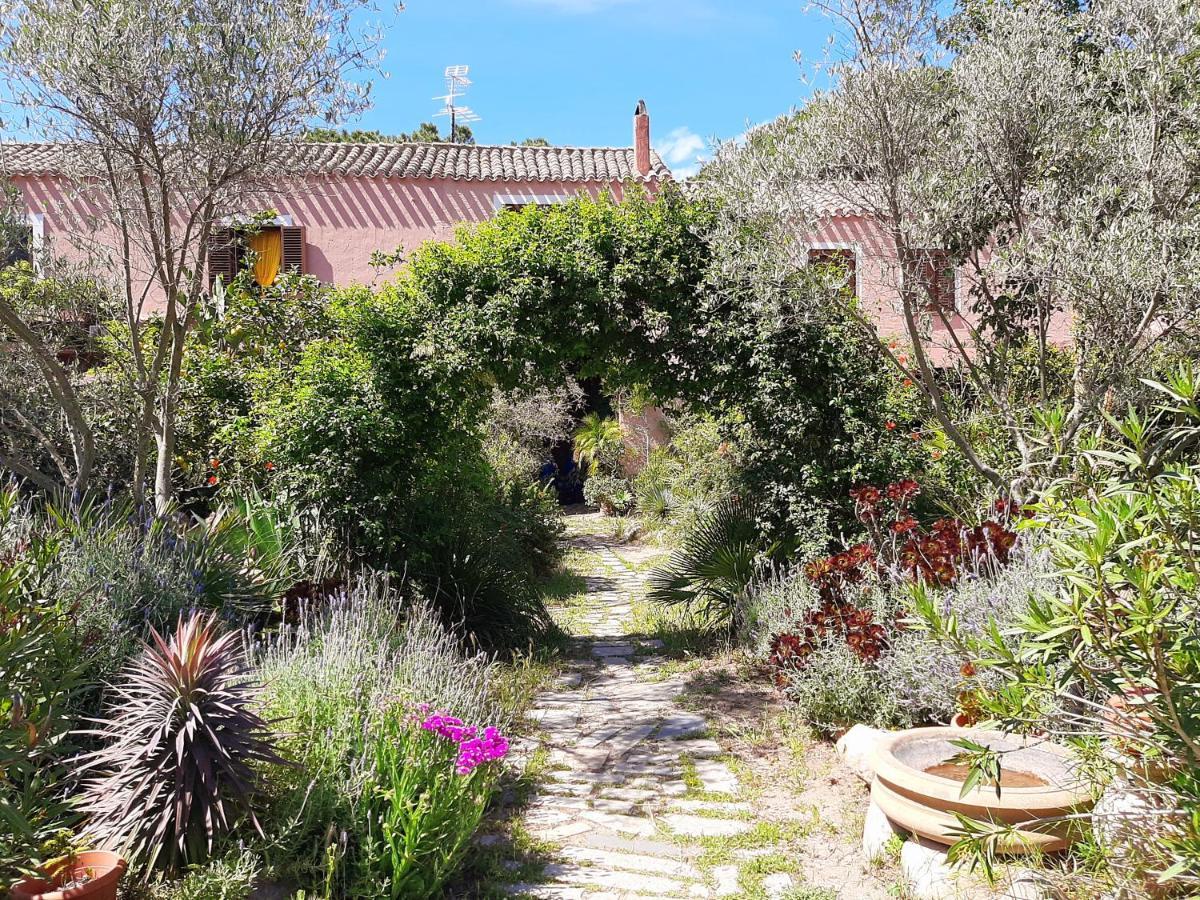 La Fattoria Delle Tartarughe Villa San Gregorio  Ngoại thất bức ảnh