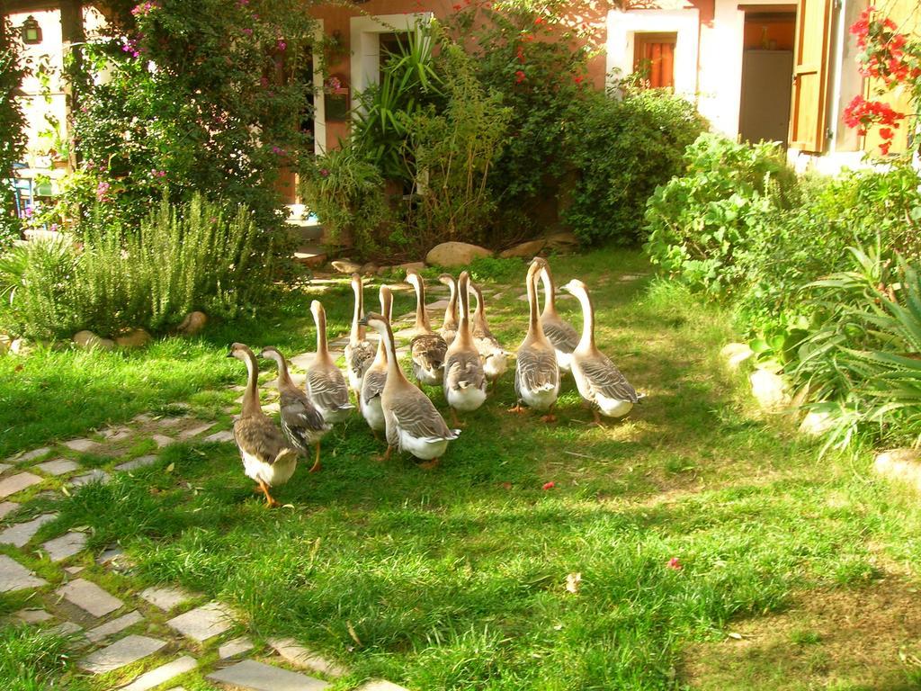 La Fattoria Delle Tartarughe Villa San Gregorio  Ngoại thất bức ảnh