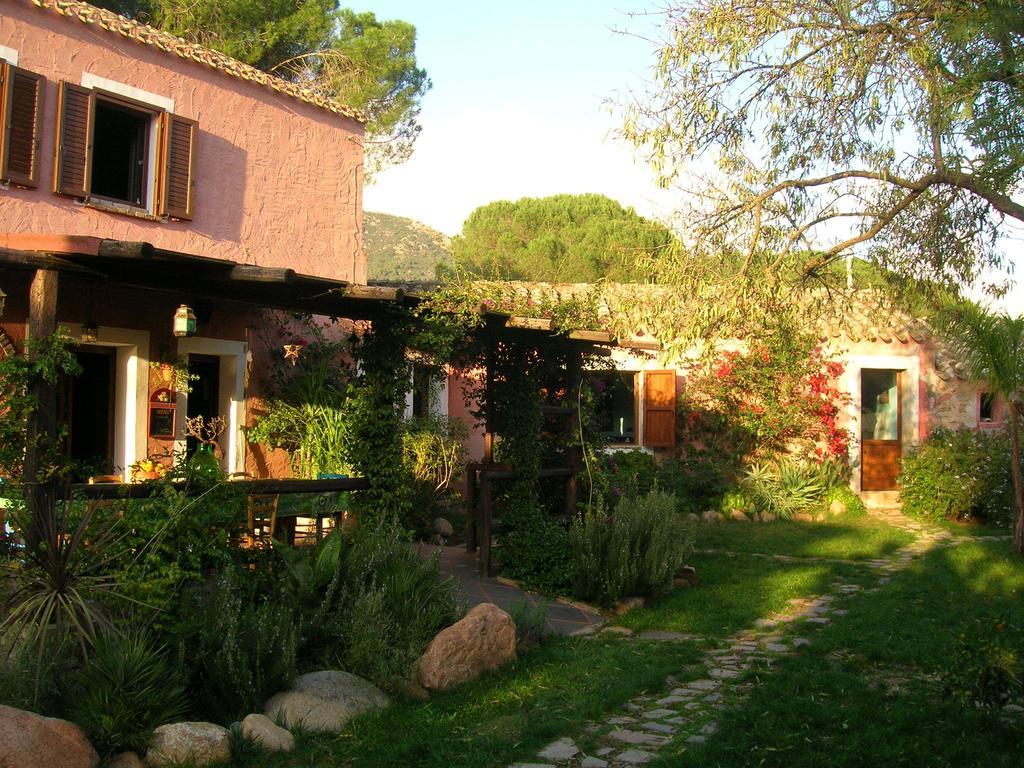 La Fattoria Delle Tartarughe Villa San Gregorio  Ngoại thất bức ảnh