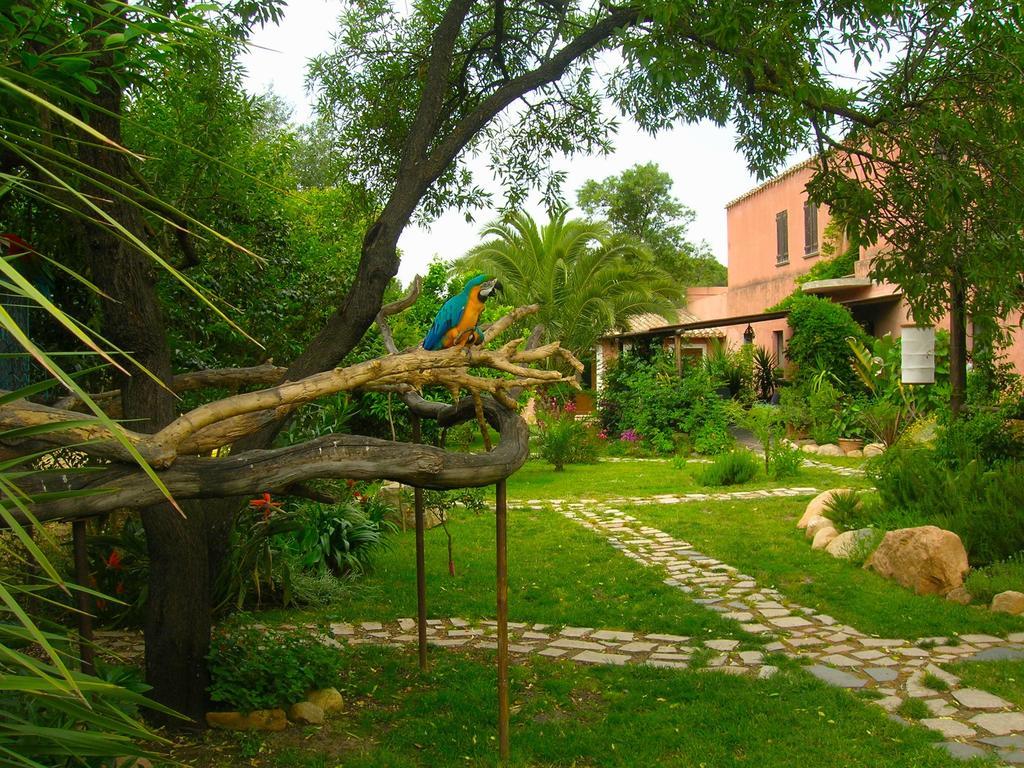 La Fattoria Delle Tartarughe Villa San Gregorio  Ngoại thất bức ảnh