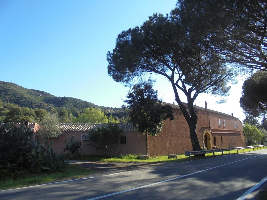 La Fattoria Delle Tartarughe Villa San Gregorio  Ngoại thất bức ảnh