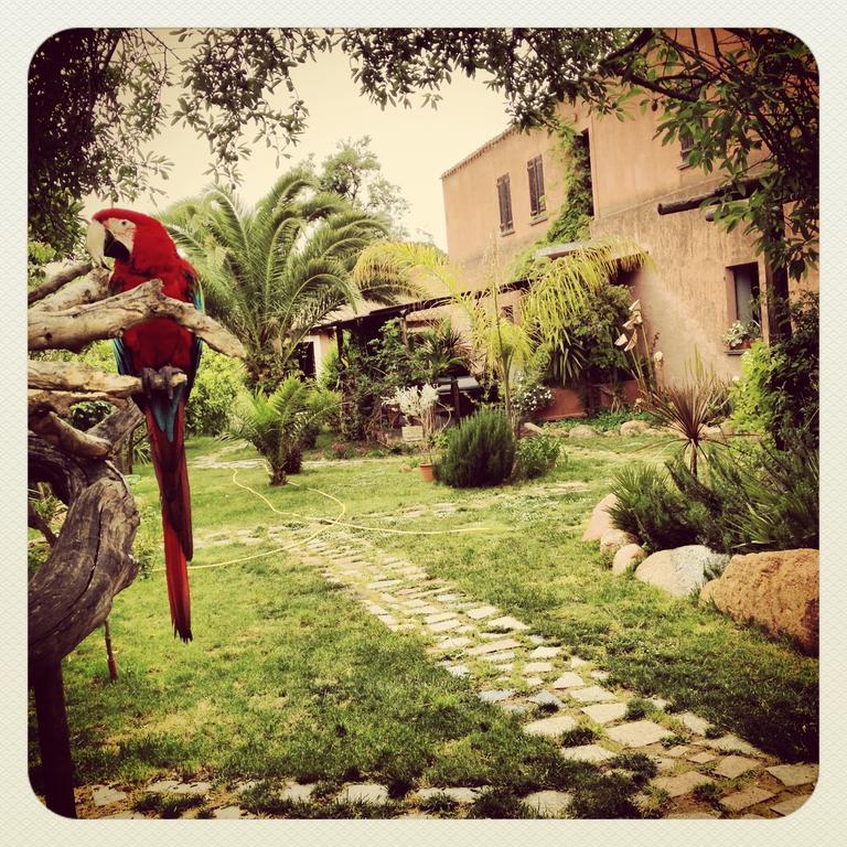 La Fattoria Delle Tartarughe Villa San Gregorio  Ngoại thất bức ảnh
