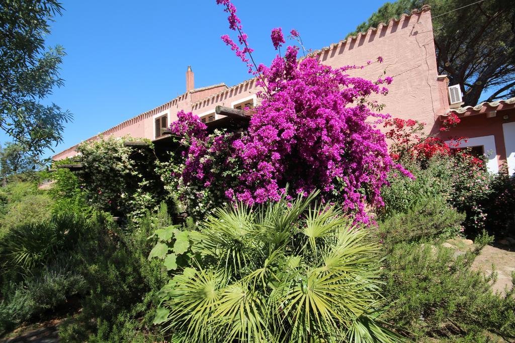 La Fattoria Delle Tartarughe Villa San Gregorio  Ngoại thất bức ảnh
