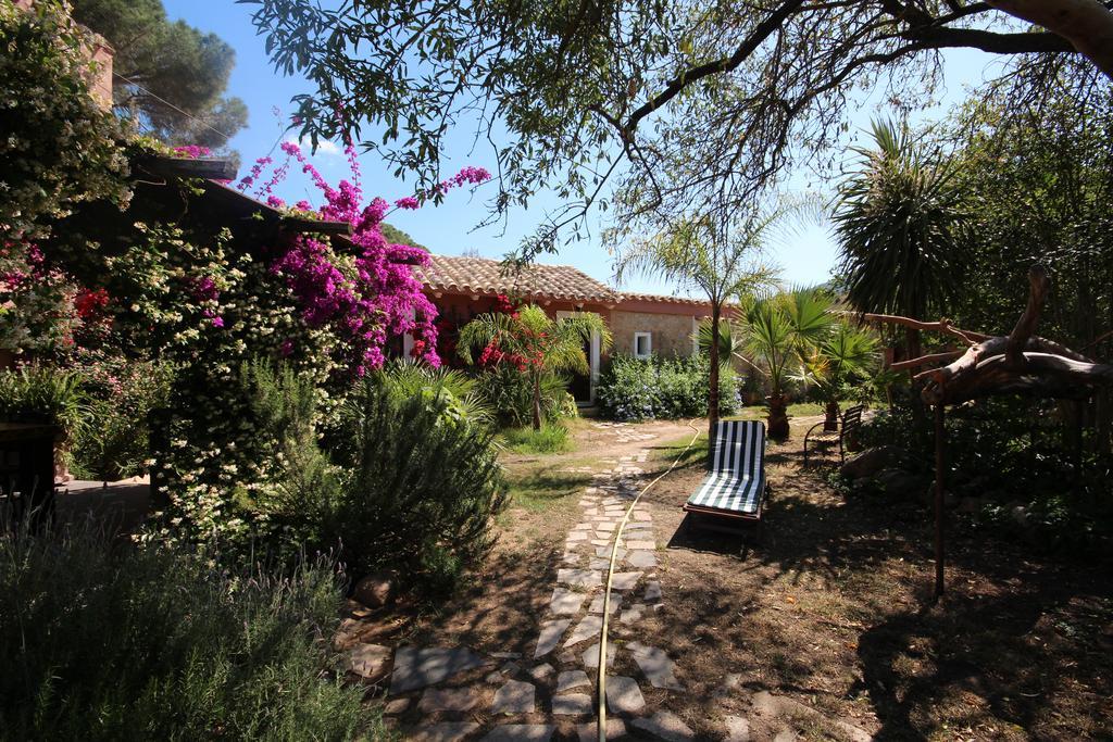 La Fattoria Delle Tartarughe Villa San Gregorio  Ngoại thất bức ảnh