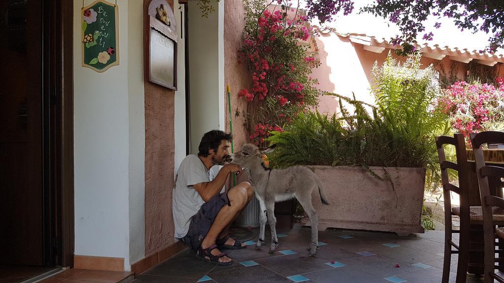 La Fattoria Delle Tartarughe Villa San Gregorio  Ngoại thất bức ảnh