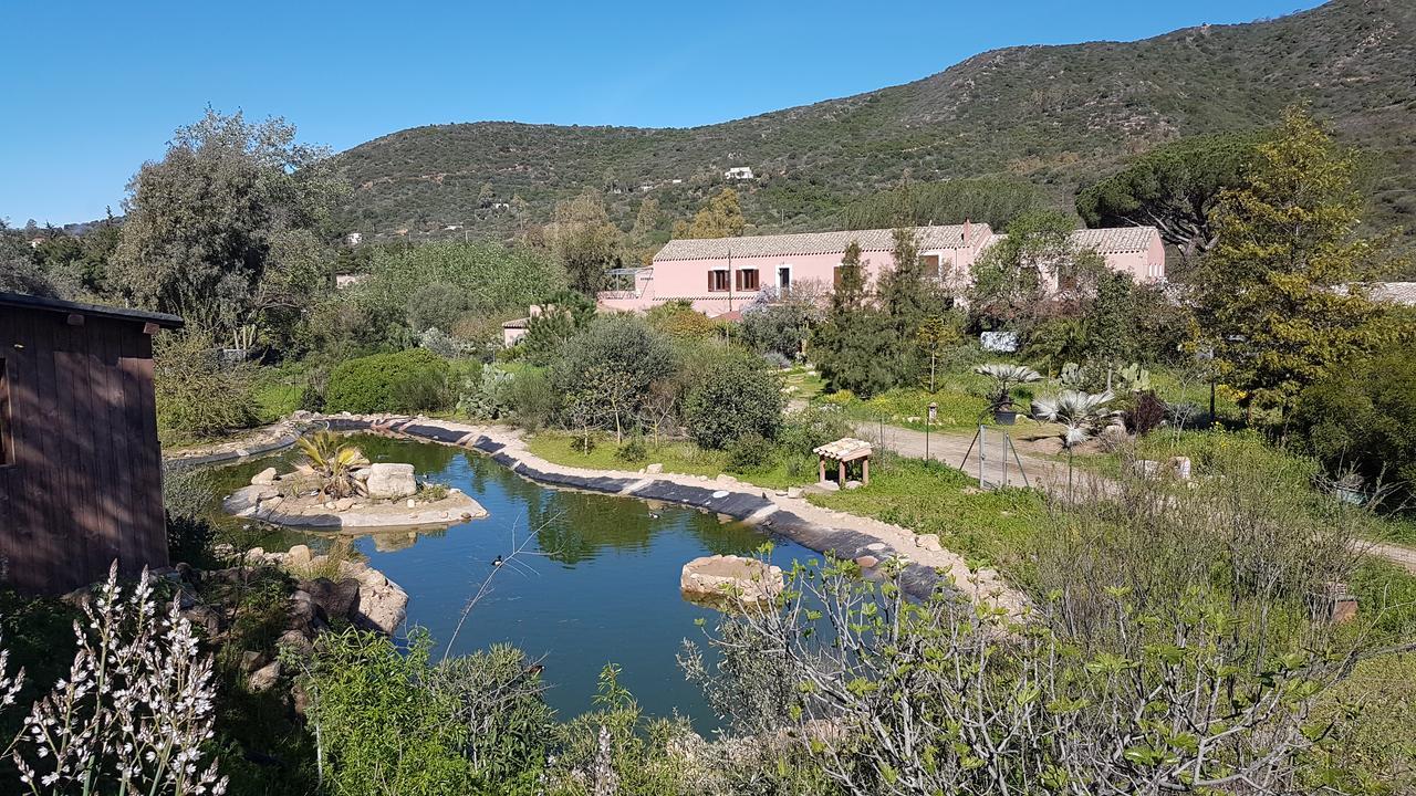 La Fattoria Delle Tartarughe Villa San Gregorio  Ngoại thất bức ảnh